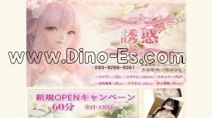 大和(神奈川)の「誘惑」電話番号：080-9266-9361