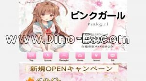 相模原の「ピンクガール」電話番号：070-4008-9528