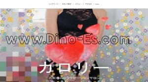 天竜川の「カロリー」電話番号：080-8260-7529