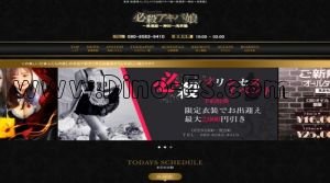 秋葉原駅(必殺アキバ娘)のホームページや公式サイトです
