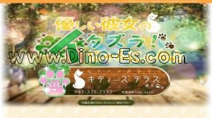 関内の「キティーズテラス 横浜店」電話番号：045-325-7532