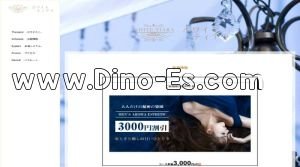 尾張一宮駅近くのメンズエステ店舗（ホワイトティアラ） | DINOエステ（ディノエステ）