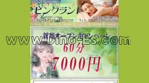 南浦和の「ピンクランド」電話番号：090-5386-0597