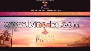 新所沢の「Plaisir プレジール」電話番号：080-7428-3594