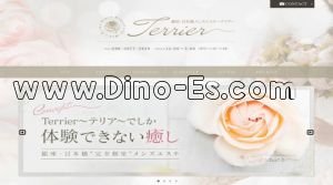 東銀座駅近くのメンズエステ店舗（Terrier ～テリア～） | DINOエステ（ディノエステ）