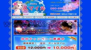 相模大野駅近くのメンズエステ店舗（スマイル） | DINOエステ（ディノエステ）