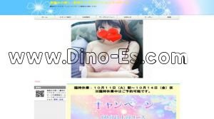 豊明駅近くのメンズエステ店舗（美熟女の癒し） | DINOエステ（ディノエステ）