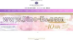 新宿の「GOKURAKU SPA」電話番号：03-5919-0299