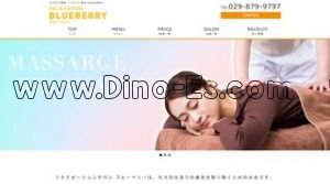 研究学園駅近くのメンズエステ店舗（ブルーベリーつくば西岡店） | DINOエステ（ディノエステ）