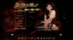 船橋の「薔薇の愛」電話番号：090-6819-8917