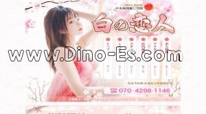 中央林間駅近くのメンズエステ店舗（白の恋人） | DINOエステ（ディノエステ）