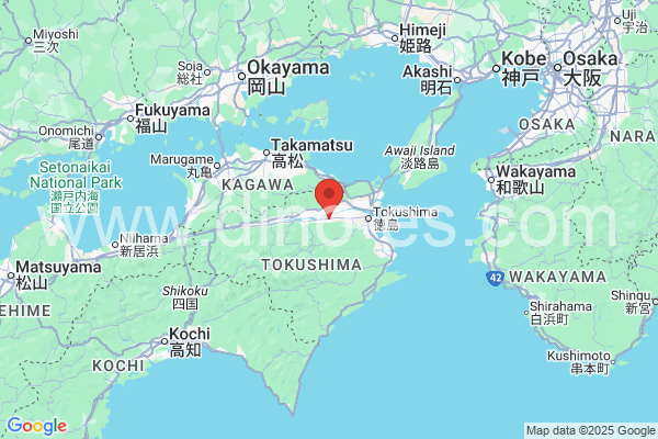吉野川市メンズエステの地図です。map of 吉野川市 where spa and massage salons are located