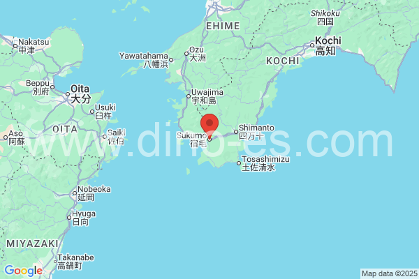 宿毛市メンズエステの地図です。map of 宿毛市 where spa and massage salons are located