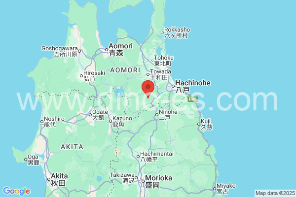 三戸郡メンズエステの地図です。map of 三戸郡 where spa and massage salons are located