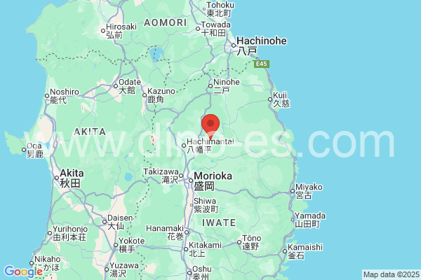 岩手郡メンズエステの地図です。map of 岩手郡 where spa and massage salons are located