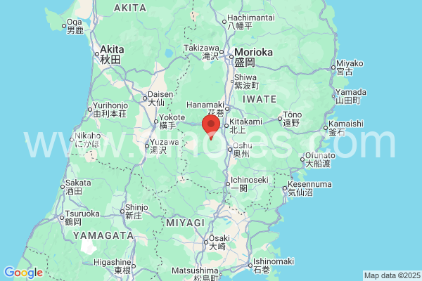 胆沢郡メンズエステの地図です。map of 胆沢郡 where spa and massage salons are located