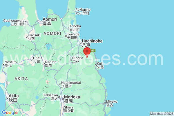九戸郡メンズエステの地図です。map of 九戸郡 where spa and massage salons are located