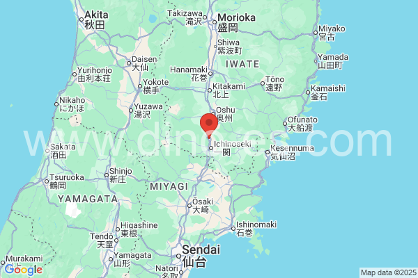 西磐井郡メンズエステの地図です。map of 西磐井郡 where spa and massage salons are located