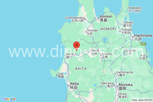 山本郡メンズエステの地図です。map of 山本郡 where spa and massage salons are located