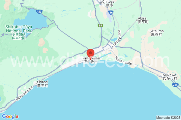苫小牧市メンズエステの地図です。map of 苫小牧市 where spa and massage salons are located