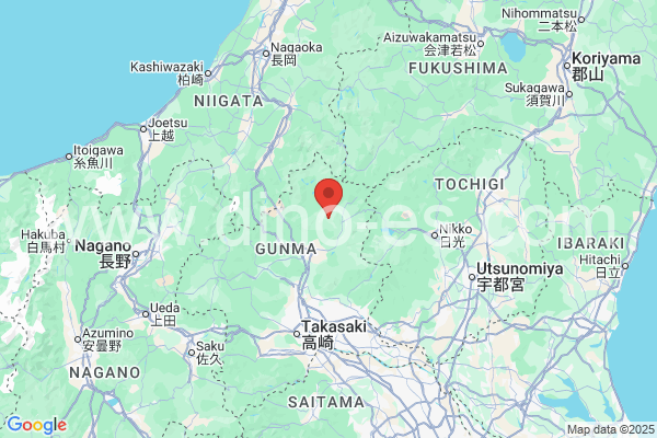 利根郡メンズエステの地図です。map of 利根郡 where spa and massage salons are located