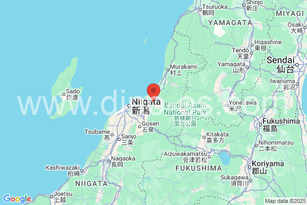 新発田市メンズエステの地図です。map of 新発田市 where spa and massage salons are located