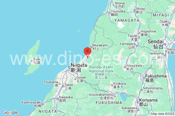 胎内市メンズエステの地図です。map of 胎内市 where spa and massage salons are located