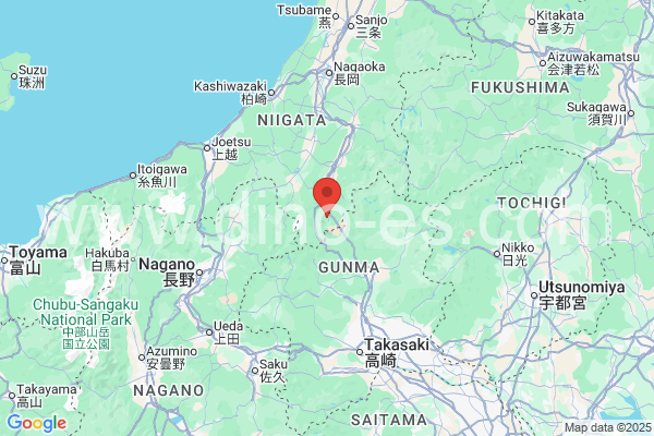 南魚沼郡メンズエステの地図です。map of 南魚沼郡 where spa and massage salons are located
