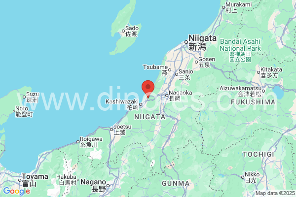 刈羽郡メンズエステの地図です。map of 刈羽郡 where spa and massage salons are located