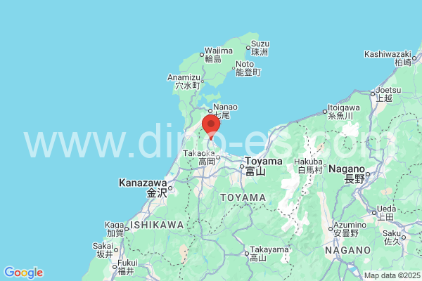 氷見市メンズエステの地図です。map of 氷見市 where spa and massage salons are located