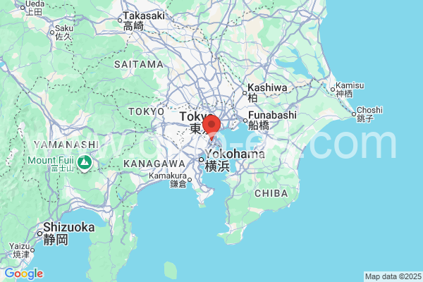 大田区メンズエステの地図です。map of 大田区 where spa and massage salons are located