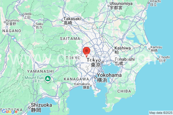 東村山市メンズエステの地図です。map of 東村山市 where spa and massage salons are located