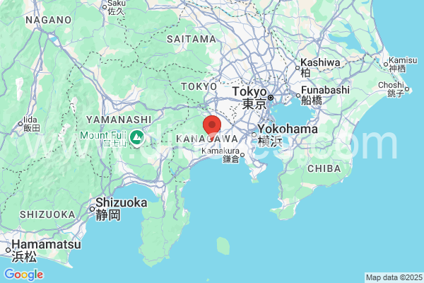 伊勢原市メンズエステの地図です。map of 伊勢原市 where spa and massage salons are located
