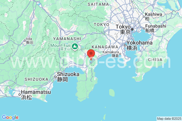 足柄下郡メンズエステの地図です。map of 足柄下郡 where spa and massage salons are located