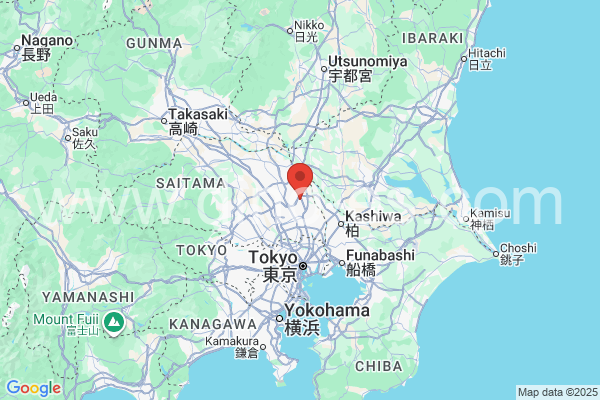 春日部市メンズエステの地図です。map of 春日部市 where spa and massage salons are located