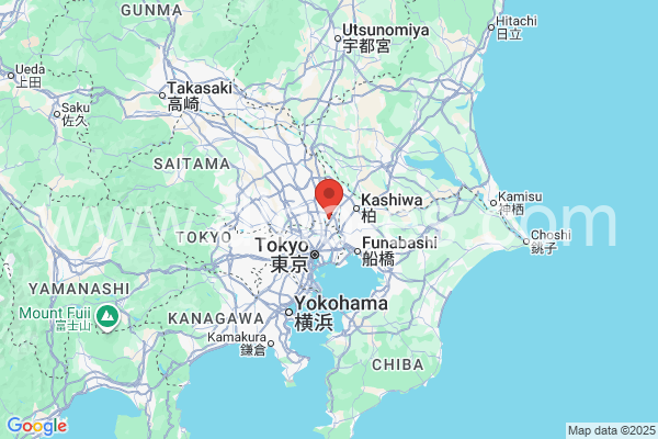 八潮市メンズエステの地図です。map of 八潮市 where spa and massage salons are located