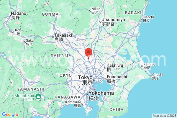 蓮田市メンズエステの地図です。map of 蓮田市 where spa and massage salons are located