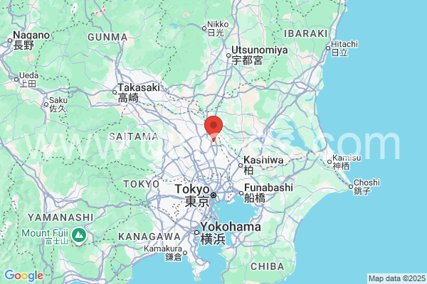 北葛飾郡メンズエステの地図です。map of 北葛飾郡 where spa and massage salons are located