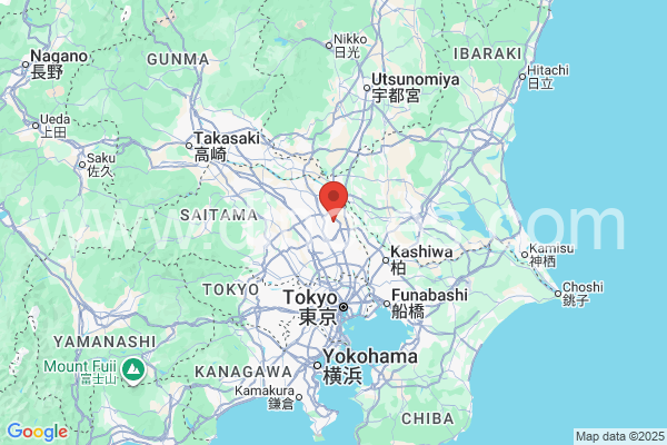 南埼玉郡メンズエステの地図です。map of 南埼玉郡 where spa and massage salons are located