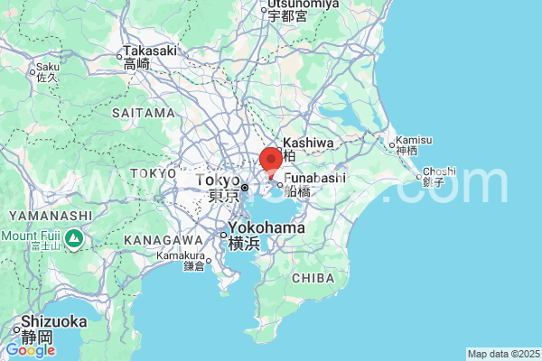 市川市メンズエステの地図です。map of 市川市 where spa and massage salons are located