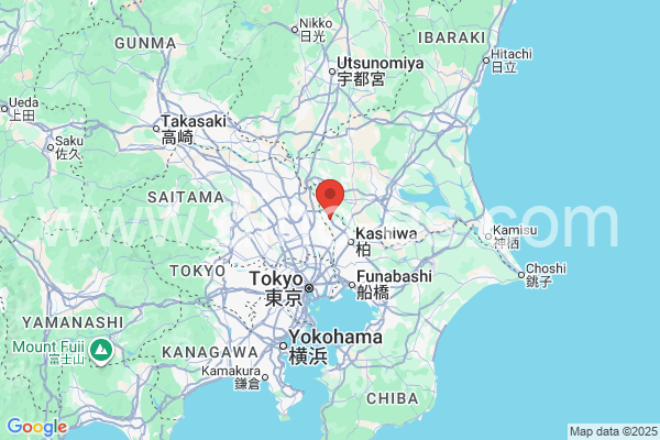 野田市メンズエステの地図です。map of 野田市 where spa and massage salons are located