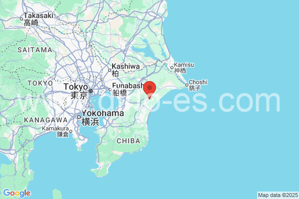山武市メンズエステの地図です。map of 山武市 where spa and massage salons are located