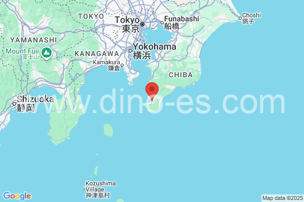館山市メンズエステの地図です。map of 館山市 where spa and massage salons are located