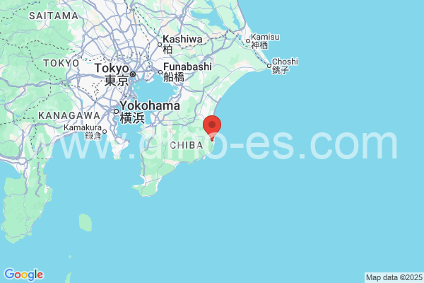 いすみ市メンズエステの地図です。map of いすみ市 where spa and massage salons are located