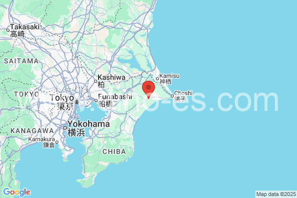 匝瑳市メンズエステの地図です。map of 匝瑳市 where spa and massage salons are located