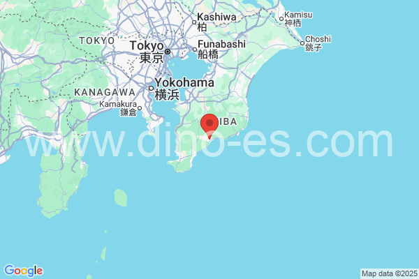 鴨川市メンズエステの地図です。map of 鴨川市 where spa and massage salons are located