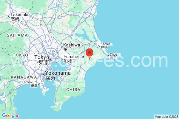山武郡メンズエステの地図です。map of 山武郡 where spa and massage salons are located