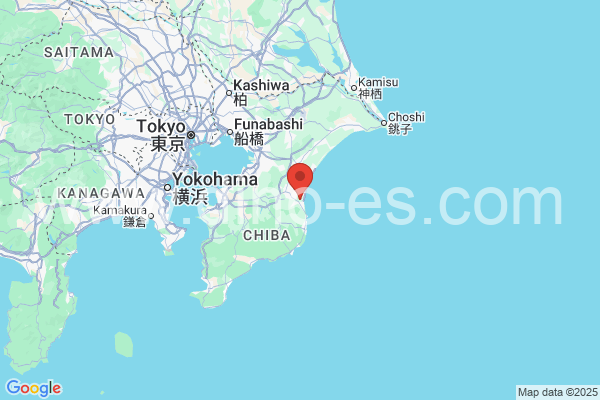 長生郡メンズエステの地図です。map of 長生郡 where spa and massage salons are located