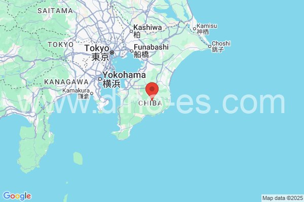 夷隅郡メンズエステの地図です。map of 夷隅郡 where spa and massage salons are located
