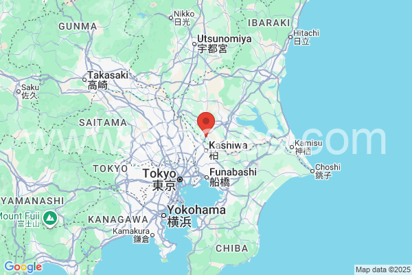 守谷市メンズエステの地図です。map of 守谷市 where spa and massage salons are located